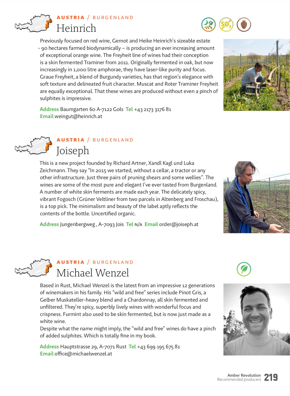 Amber Revolution: How the World Learned to Love Orange Wine Hardcover