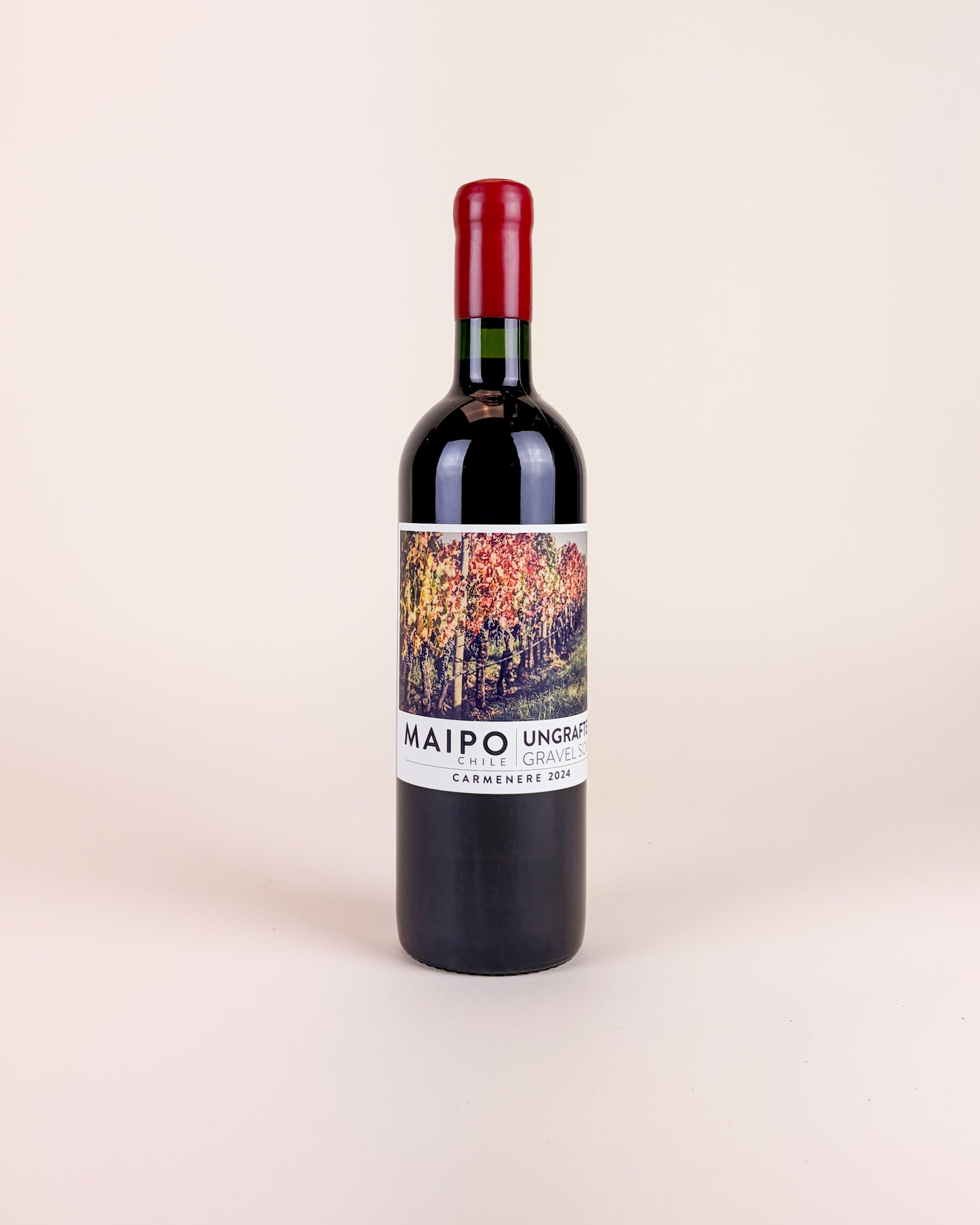 Di Martino, Maipo Carmenere 2024