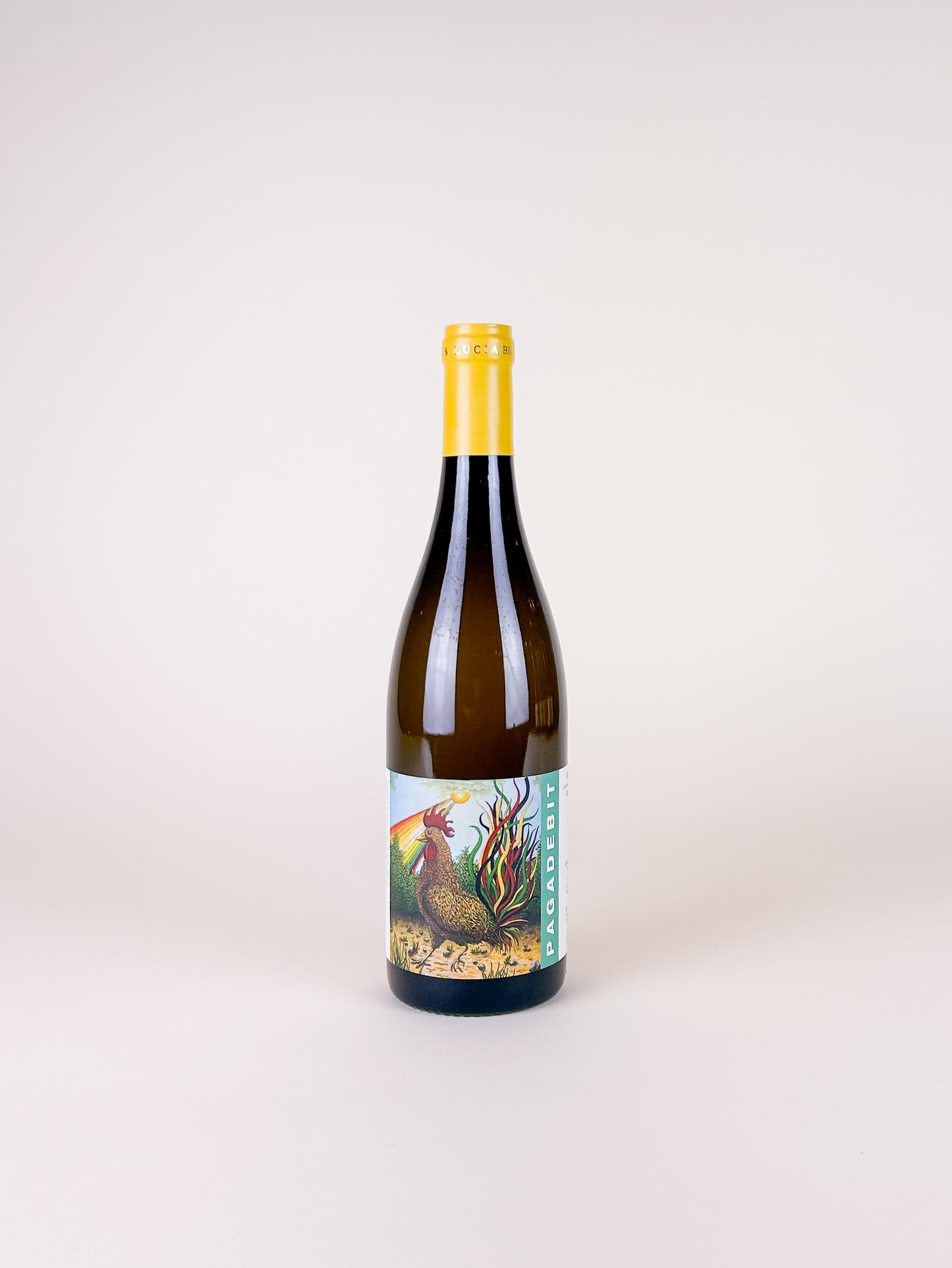 Tenuta Santa Lucia 'Pagadebit' Bianco 2022