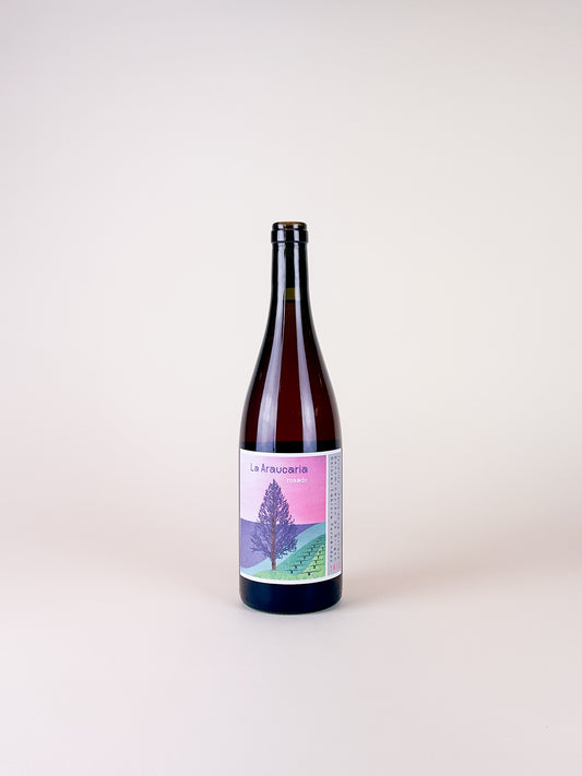 Dolores Cabrera Fernandez, La Araucaria Rosado 2023