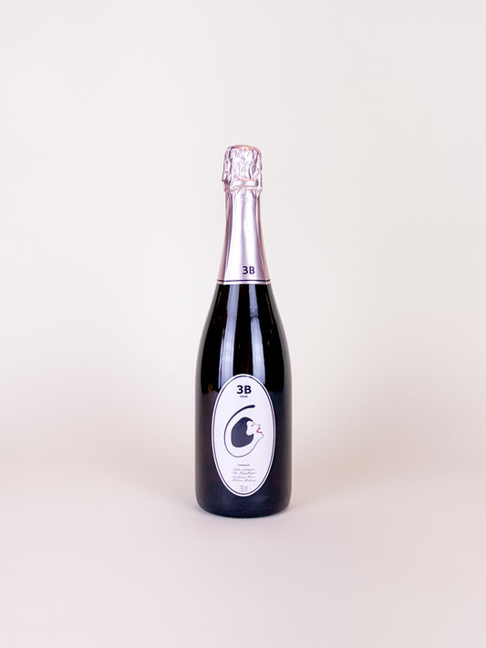 Filipa Pato, Beira Bruse Rose ‘3B’