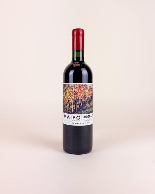 Di Martino, Maipo Carmenere 2024
